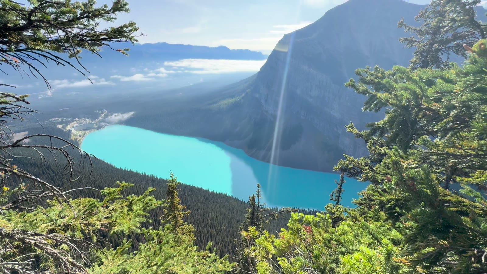 A turquoise lake seen from high above, between a steep mountainside and pine branches, with a sun flare across the water