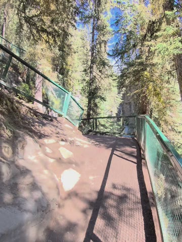 An empty walkway with green railings in a forest