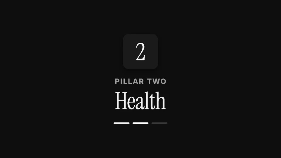 A chapter card, "Pillar two: Health", in the Black and white look