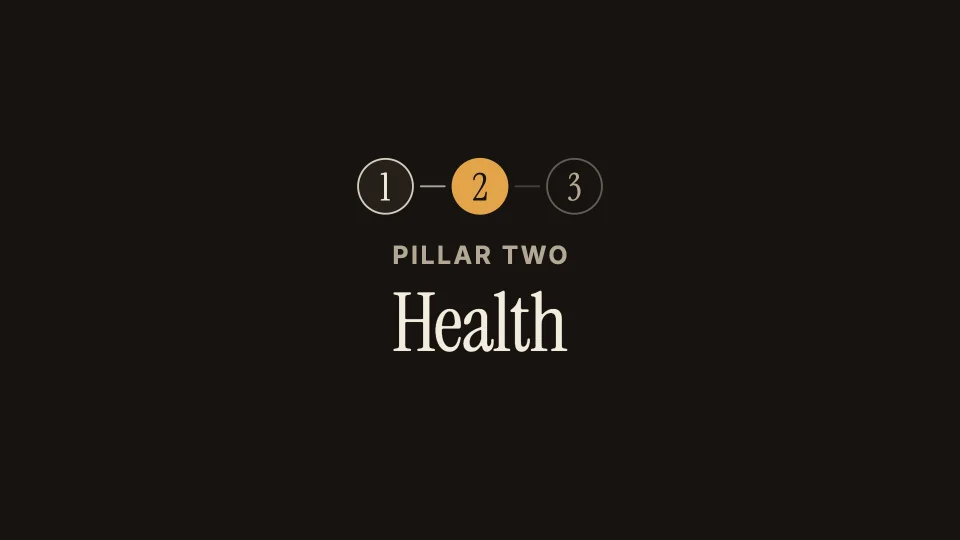 A chapter card, "Pillar two: Health", in the Documentary look